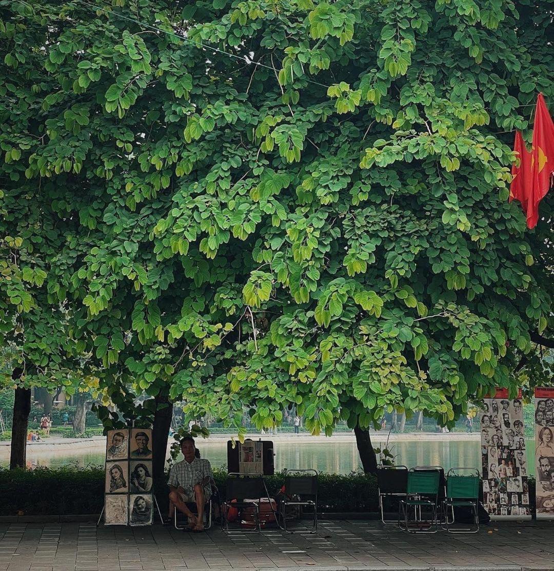 Tropical Land Little Hanoi Homestay Eksteriør bilde