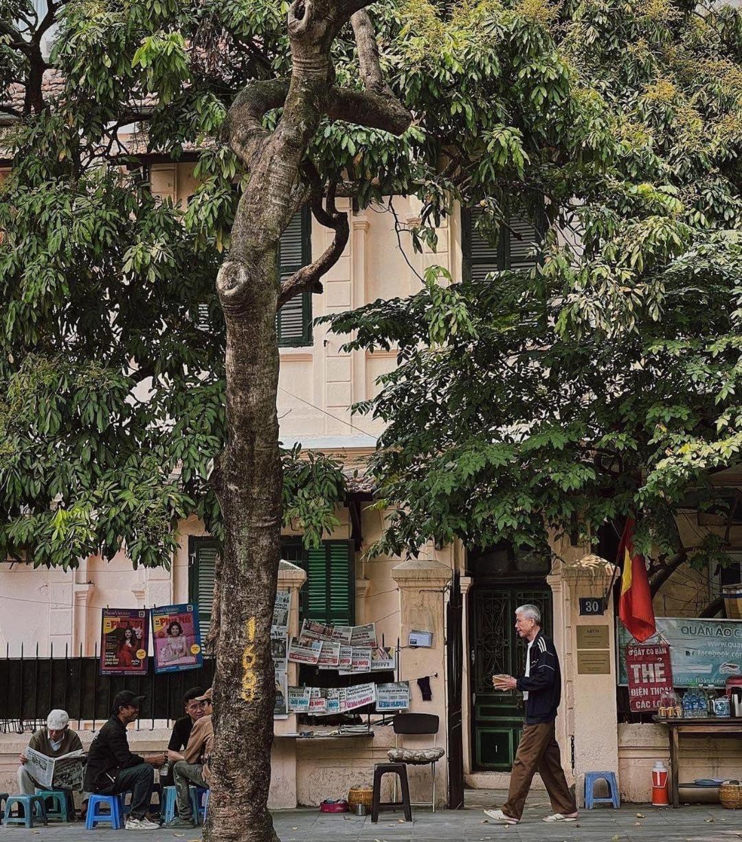 Tropical Land Little Hanoi Homestay Eksteriør bilde