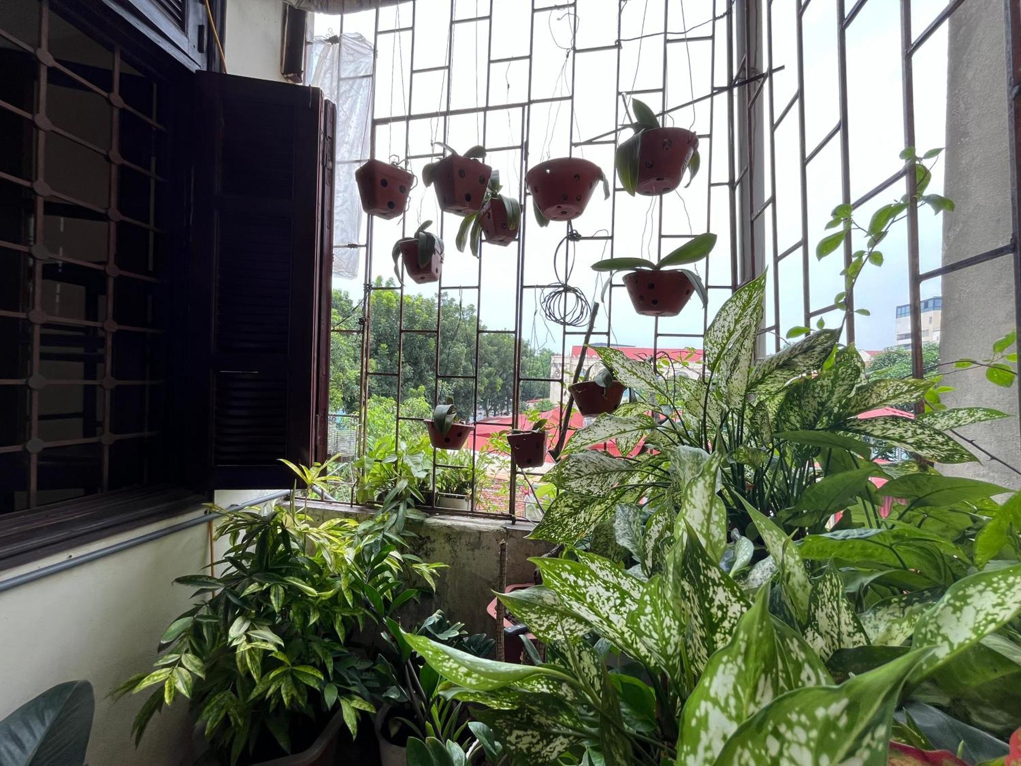 Tropical Land Little Hanoi Homestay Eksteriør bilde